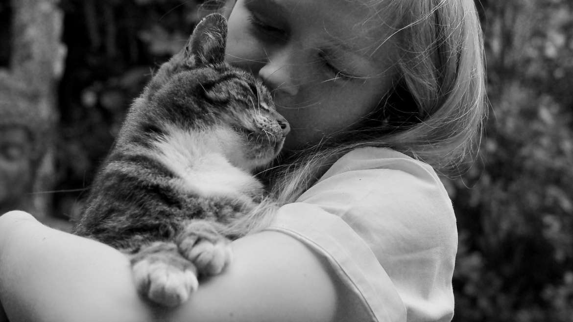 Loving kindness